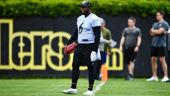 Rookie minicamp: Harvin feels 'like I'm a trailblazer' for Black punters taken on the South Side (Steelers)